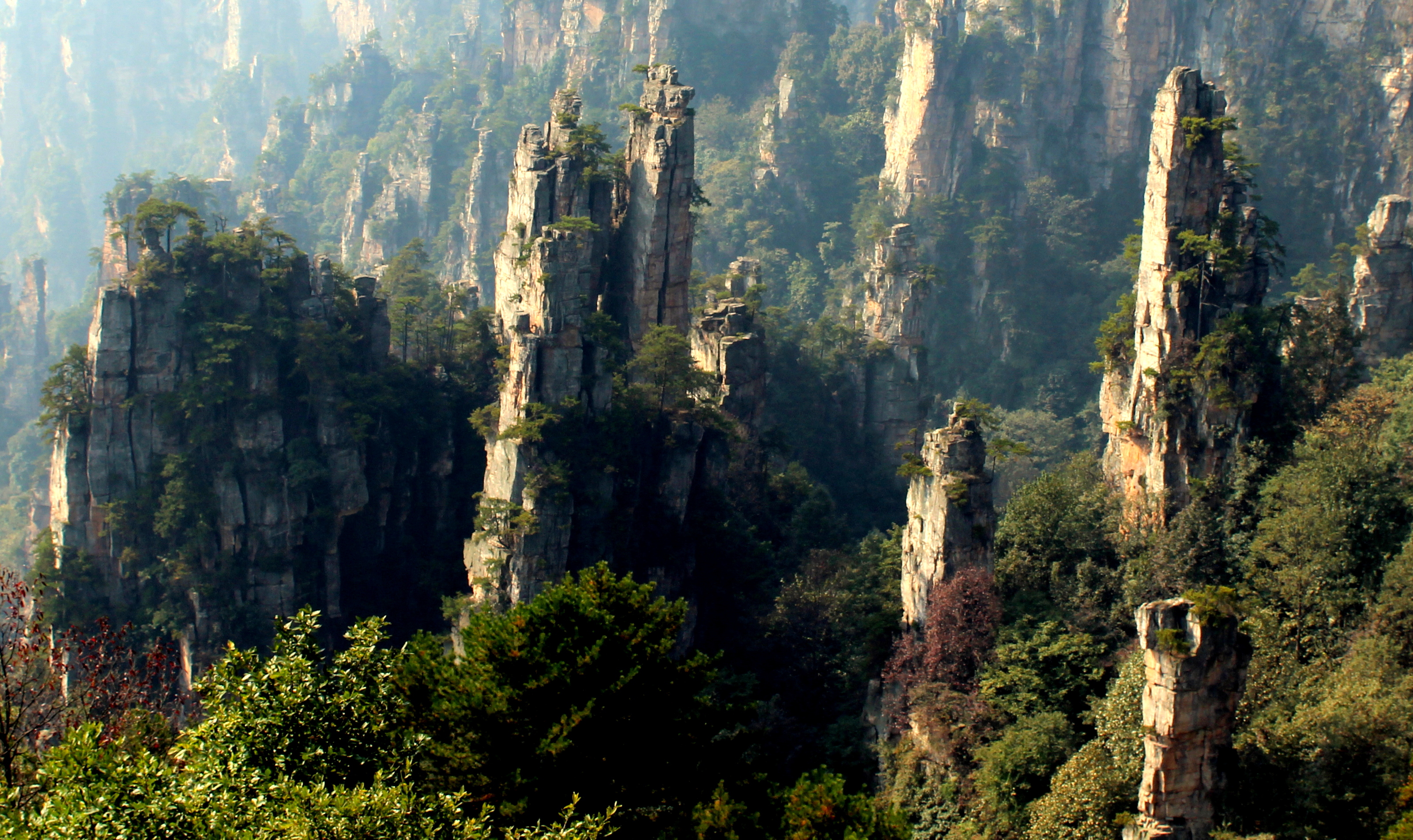 Чжанцзяцзе китай. Горы Тяньцзи, Китай аватар. Zhangjiajie+National+Forest+Park+China. Чжанцзяцзе национальный Лесной парк 1. Горы Тяньцзы парка Чжанцзяцзе.