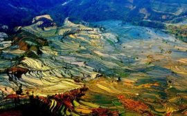 Магнетические пейзажи Юаньян